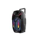 Xtreme Festival Big Bass Trolley Speaker 15 inch with Wireless Mic & Remote 50