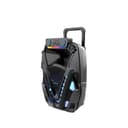 Xtreme Festival Big Bass Trolley Speaker with Stand Wireless Mic & Remote 60