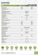 ZIEWNIC DIAMOND 10.5KW PV13000 Hybrid Solar Inverter