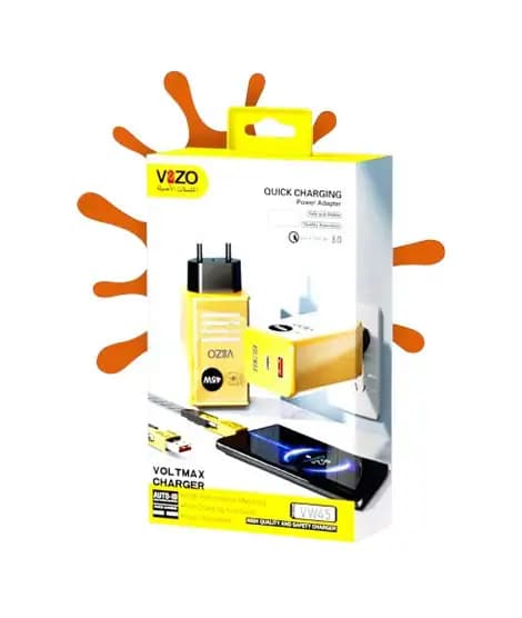 Vizo Quick Charging Power Adapter (VW45)