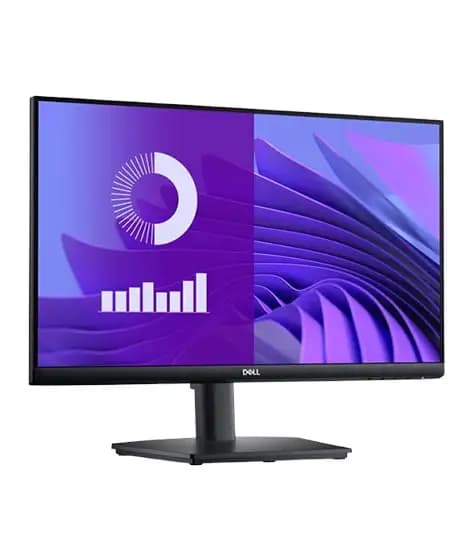 Dell 24" LED Monitor (E2425HS)
