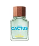 Benetto Green Cactus Eau De Toillete For Men - 100ml