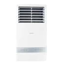 EcoStar Floor Standing FA+ DC Inverter AC 2 Ton EF-24IB01W