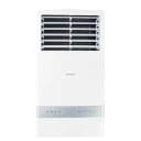 EcoStar Floor Standing FA+ DC Inverter AC 2 Ton EF-24IB01W