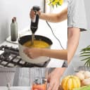 Anex AG-130 Deluxe Hand Blender