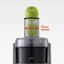 Panasonic Stainless Steel 3 in 1 juicer MJ-DJ31