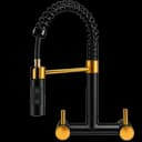 Glam Gas Kitchen Faucet Wall 11-12 Ring Black