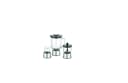 Anex AG 191 Deluxe Juicer Blender Grinder